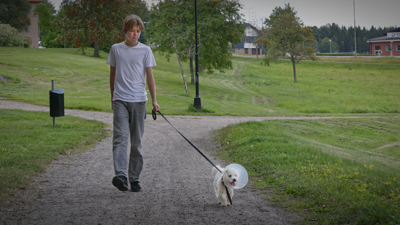 Aggressiva hunden attackerade Zion, 13, och lille Harry