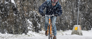 Efter snöovädret: Dags att tala vuxensvenska med oss