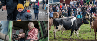 Lörstad gård lockade ännu en gång mängder av besökare