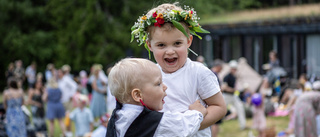 Glad midsommar till både bi och människa!