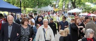 Så ser planerna ut för nya Trädgårdsdagen