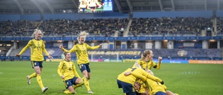 Sverige möter Slovakien i VM-kvalet