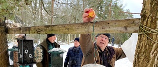 50 kg jordnötter, vildsvinsspäck och säckvis med solrosfrön – här matas småfåglarna av entusiaster