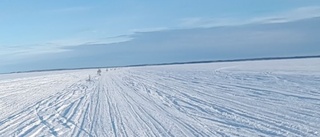 Goda is-nyheter från skärgården