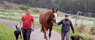 Glädjebeskedet: Paret slipper flytta