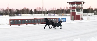 Travbanan isad inför årsfinalen