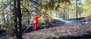 Brandläget ute i skogarna