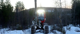 Nu har vi chansen att göra skillnad i skogen