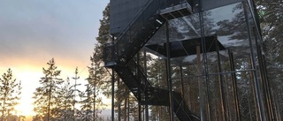 Treehotel den ultimata flyktplatsen