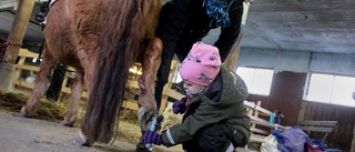 Bygglov för aktivitetshus vid Björnbo 4H-gård