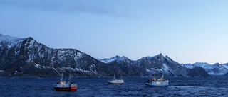 Storfisket tränger undan skonsamt fiske