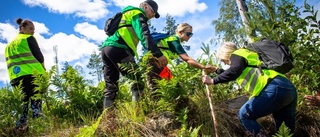 Rop efter hjälp vid sökinsats