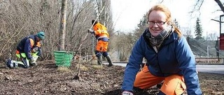 De gör Uppsala fint