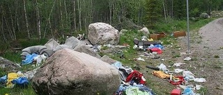 Berg av sopor slängs i naturen