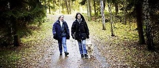 Hunden Leia - hjälpsam och ovanlig