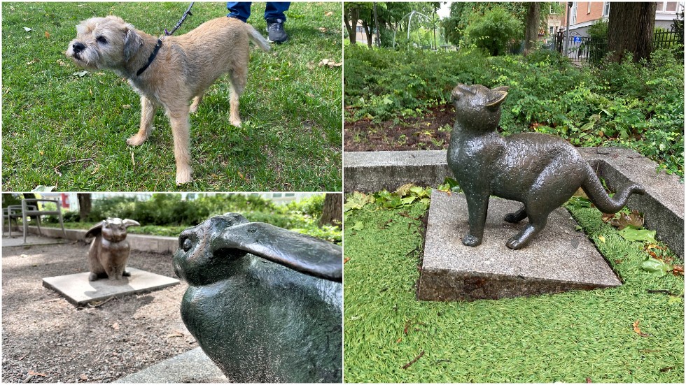 Bronskatten rubbad ur sitt läge. Dessutom har den och andra skulpturer i Frodeparken blivit utsatta för ovälkomna duschar av hundkiss.