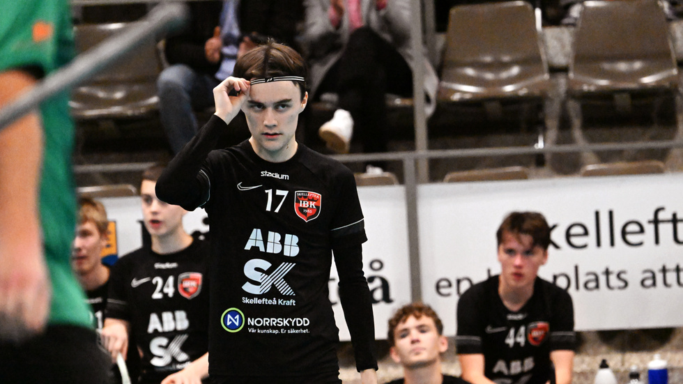 Alex Holmberg och hans Skellefteå IBK föll hemma mot IBF Dalen.