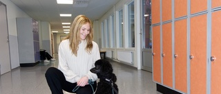 Hunden Trygve ska få skolelever att gå till skolan