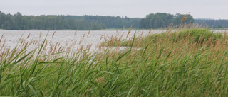 Folkflertalet vill värna vårt strandskydd