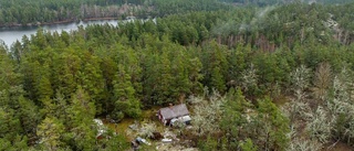 Stugan i skogen har lockat många visningar