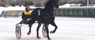 Svensktopparna Olofsson-Djuse dominerade på Bodentravet