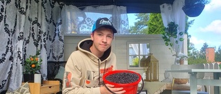 14-åriga Damian plockar bär: Pengarna ska gå till en moppecross