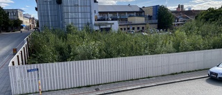 Det spelar ingen roll om Enköping aldrig vinner Årets stadskärna.