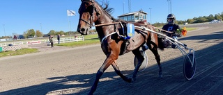 Unghästarna dominerade tävlingarna på Skrubbs