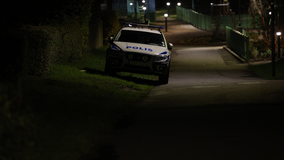 Företagare oroar sig för att gängkriminaliteten ska försämra bilden av Sverige internationellt. Arkivbild.