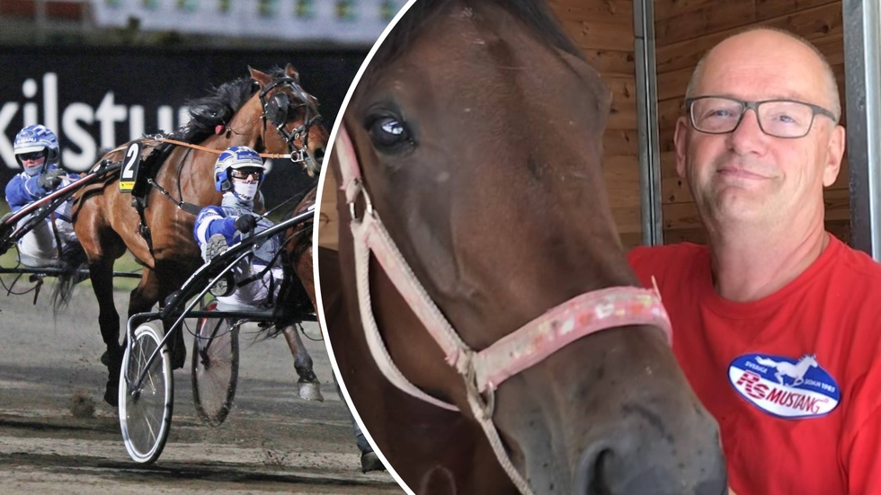 Spelexperten Roland Jansson, 71, ger sina miljondrag till V75-omgången på Sundbyholms travbana. 