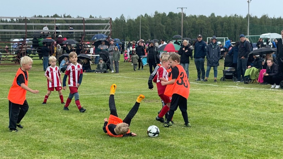 Trots regnskurar trivdes publik och spelare runt planerna i Bölebyn under ungdomsklassikern Thor Sjöbergs Cup.