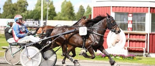 Tre Piteåhästar skrällvann på Skellefteåtravet – Sandra Eriksson och Anthem en segerhymn – Roger Nilsson spräckte segernollan med två