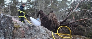 Räddningstjänsten kallades till skogsbrand i Nyköping