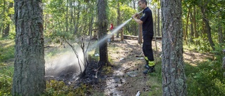 Stor brandrisk i skog och mark – brandmän fick släcka bränder vid grillplatser på Arnö och Jogersö