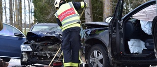 Trafikolycka nära Täckhammarsbro – spädbarn och hundar bland de drabbade