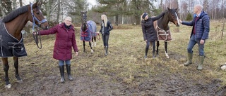 TV/Text: Familjen Jönsson lever sin dröm på Stengården