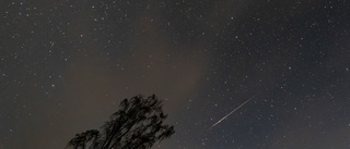 Stjärnfallet Perseiderna dansade över himlen