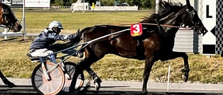 Travexpertens vassaste drag inför Visbytravet