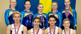 Medaljregn över länsgymnasterna