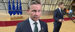 Jonson: Ingen Jas Gripen att avvara till Ukraina