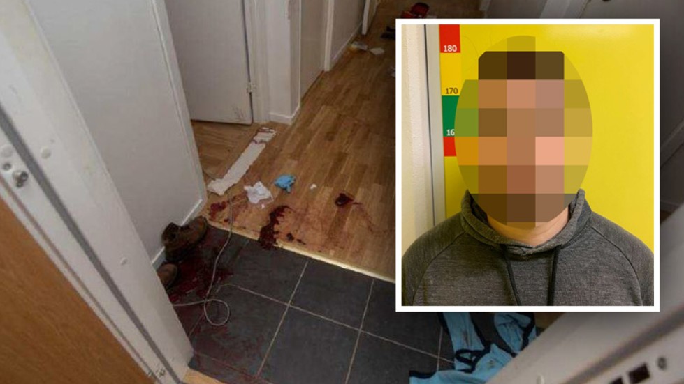 En 29-årig man misstänks ha försökt döda sin sambo och hennes dotter med en hammare. På onsdagen hölls den första av två rättegångsdagar i målet. 