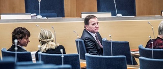 Lösa skott från Löfven