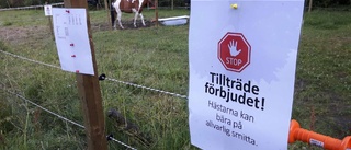 Allvarlig hästsjukdom på ridklubb