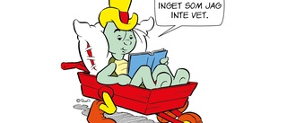 Bamse och Skalman lär de yngsta om källkritik  • "Alla är inte ärliga med sina avsikter när de delar information"