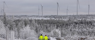 Försvaret svänger: säger nej till högre vindkraftverk