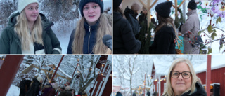 TV: Näs julmarknad siktar på rekordår – massor med folk redan på fredagen • Långväga besökaren Moa: "Jättemysigt!"