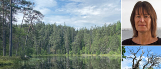 Alla satsningar vid Vimmerbys nationalpark uteblir helt