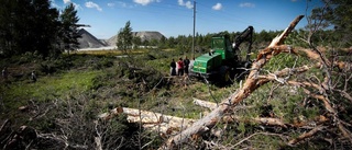 Staten måste betala 625 miljoner för Natura 2000-beslut 