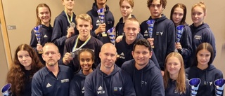 Medaljregn över Norranområdet – både i Sverige och internationellt • Brons för Skelleftetjejen i mästerskap