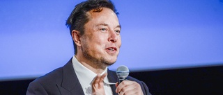 Musk öppnar dörren för avstängda Twitter-konton